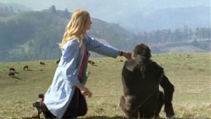 Koko le gorille qui parle