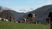 La ferme des Bertrand