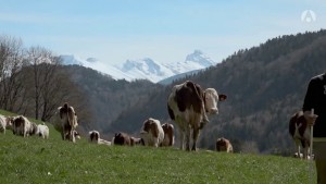 La ferme des Bertrand