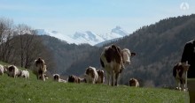 La ferme des Bertrand