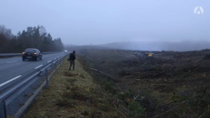 Le temps des forêts